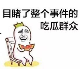 资深娱乐吃瓜群众,资深吃瓜群众带你揭秘幕后真相